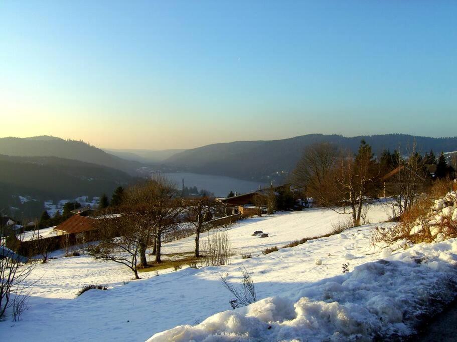 Gerardmer Centre - Studio Au Pied Du Lac Grande Terrasse Extérieur photo